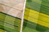 Agriculture Season In Poland
