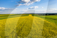Agriculture Season In Poland