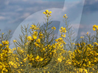 Agriculture Season In Poland