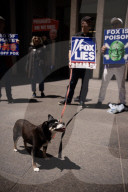 Demonstrators Protest Outside Of Fox News Headquarters