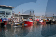 Selling our sole? Brixham fishers divided on UK's new EU deal.