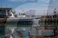 Selling our sole? Brixham fishers divided on UK's new EU deal.