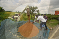 India Agriculture