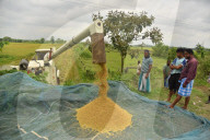 India Agriculture