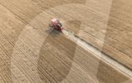 Wheat Harvest in Fuyang
