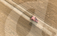 Wheat Harvest in Fuyang