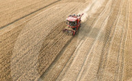 Wheat Harvest in Fuyang