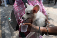 Heatwave In India, Kolkata