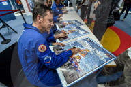 Flying As A Team: 40 Years Of Patrulla Águila