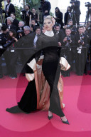 "The History Of Sound" Red Carpet - The 78th Annual Cannes Film Festival