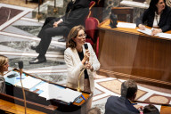 Questions To The French Government At The National Assembly