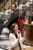 Questions To The French Government At The National Assembly