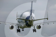 Airbus Beluga XL2 landing at Toulouse Airport