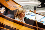 Questions To The French Government At The National Assembly
