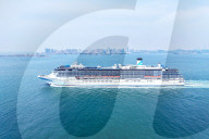 Cruise Economy