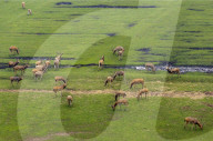International Day for Biological Diversity