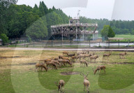 International Day for Biological Diversity