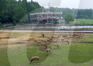 International Day for Biological Diversity