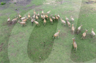 International Day for Biological Diversity