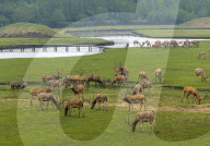 International Day for Biological Diversity