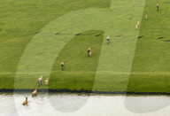 International Day for Biological Diversity