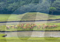 International Day for Biological Diversity