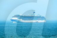 Cruise Economy