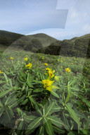 Sailung Sojourn: The Beauty Of Nepal's ‘100 Hills’