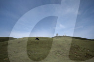 Sailung Sojourn: Yaks On The Hill Tops