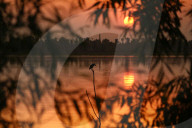 Hot Weather In Kashmir