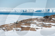 Auch durch das globale Erwärmungsziel von 1,5°C nicht mehr zu retten: Der Vanderford-Gletscher in der Ost-Antarktis schmilzt schneller als bisher prognostiziert