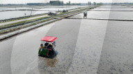 Smart Agriculture in Shenyang