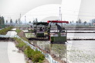Smart Agriculture in Shenyang