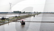 Smart Agriculture in Shenyang