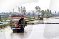 Smart Agriculture in Shenyang