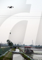 Smart Agriculture in Shenyang