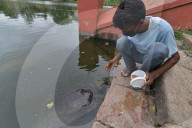 World Turtle Day 