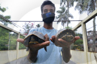 World Turtle Day 