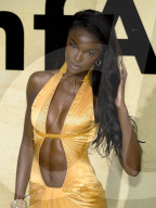 Cannes 2025 - amfAR Gala 