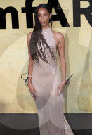 Cannes 2025 - amfAR Gala 
