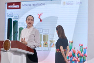 Mexico’s President Claudia Sheinbaum Holds BriefingNews Conference