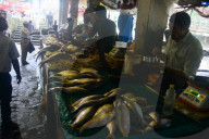 India Economy Market