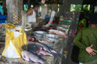India Economy Market