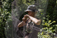 Empire Mine Bird Monitoring Program