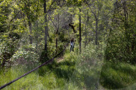 Empire Mine Bird Monitoring Program