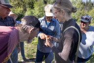 Empire Mine Bird Monitoring Demonstration For Sierra Services For The Blind And Visually Impaired