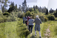 Empire Mine Bird Monitoring Demonstration For Sierra Services For The Blind And Visually Impaired