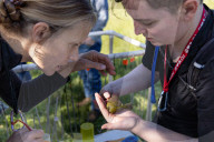 Empire Mine Bird Monitoring Program