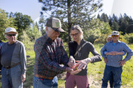 Empire Mine Bird Monitoring Demonstration For Sierra Services For The Blind And Visually Impaired