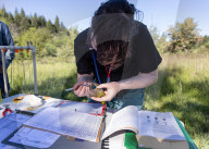 Empire Mine Bird Monitoring Program
